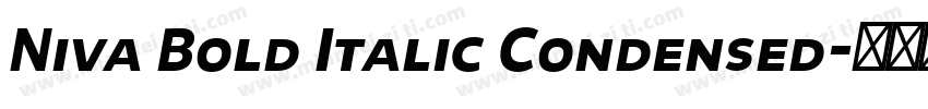 Niva Bold Italic Condensed字体转换